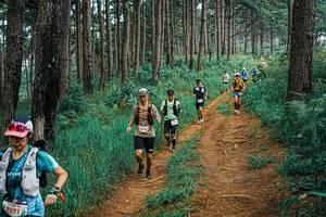 BIB: 
                            <button type="button" onclick="openModal(25658422)" class="btn btn-primary btn-sm float-right btn-popup" data-toggle="modal" data-target=".modal-high-quality">
                        <i class="fas fa-shopping-cart"></i> Add to Cart
                    </button>
                                            <button type="button" onclick="isThisMe(25658422, true)" class="btn btn-success btn-sm float-right btn-popup btn-isme hidden" data-toggle="tooltip" data-placement="bottom" title="นี่คือรูปของคุณใช่ไหม คลิกที่นี่เพื่อเอาเข้าอัลบั้ม">
                        <i class="fas fa-plus"></i> Add to album
                    </button>
                    <button type="button" onclick="isThisMe(25658422, false)" class="btn btn-warning btn-sm float-right btn-popup btn-isnotme hidden">
                        <i class="fas fa-ban"></i> Remove from album
                    </button>